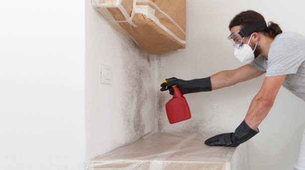 Professional Basement Mold Removal technician working in Long Valley, NJ