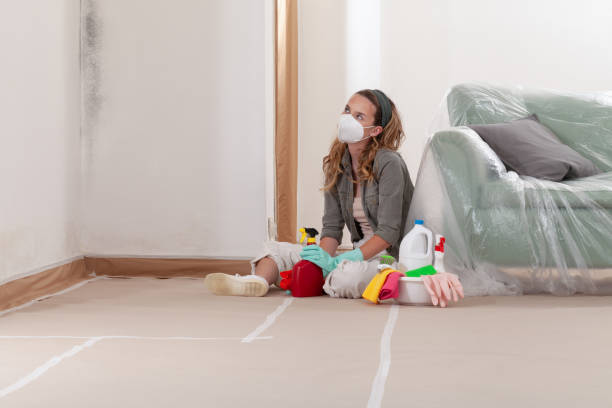 Reliable Basement Mold Removal contractor in Long Valley, NJ by WQB Mold Removal